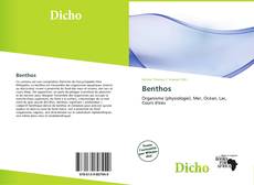 Capa do livro de Benthos 