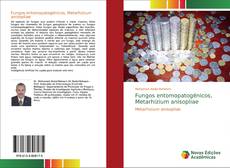 Borítókép a  Fungos entomopatogénicos, Metarhizium anisopliae - hoz