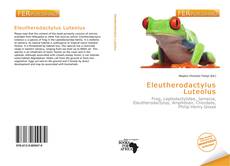 Buchcover von Eleutherodactylus Luteolus