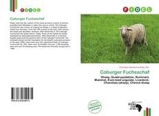 Couverture de Coburger Fuchsschaf