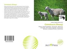 Couverture de Comeback (Sheep)
