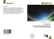 Couverture de Baudroie
