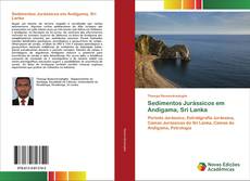 Buchcover von Sedimentos Jurássicos em Andigama, Sri Lanka