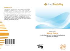 Copertina di Minnie Evans