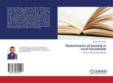 Buchcover von Determinants of poverty in rural households