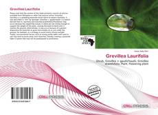 Copertina di Grevillea Laurifolia
