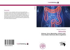 Intestin的封面