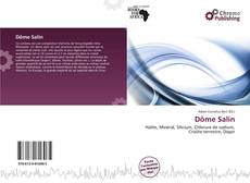 Copertina di Dôme Salin