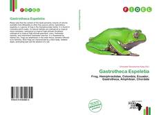 Couverture de Gastrotheca Espeletia