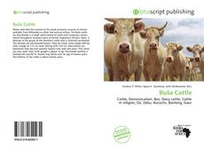 Buša Cattle kitap kapağı