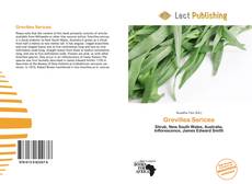 Copertina di Grevillea Sericea