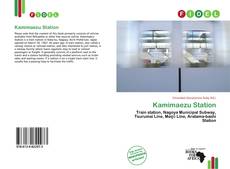 Couverture de Kamimaezu Station
