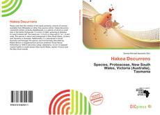 Hakea Decurrens的封面