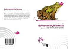 Bookcover of Bokermannohyla Nanuzae