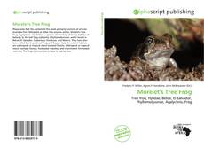 Обложка Morelet's Tree Frog