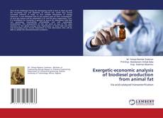 Copertina di Exergetic-economic analysis of biodiesel production from animal fat