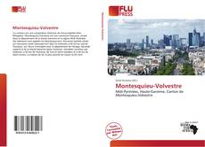 Bookcover of Montesquieu-Volvestre