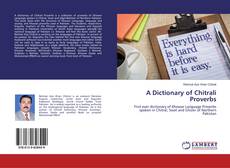 Buchcover von A Dictionary of Chitrali Proverbs