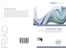 2011 Belmont Stakes的封面