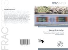 Copertina di Dybbølsbro station