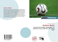 Budimir Đukić的封面
