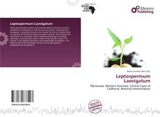 Buchcover von Leptospermum Laevigatum