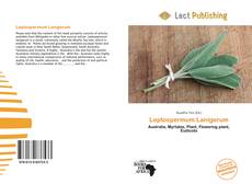 Buchcover von Leptospermum Lanigerum