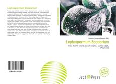 Copertina di Leptospermum Scoparium