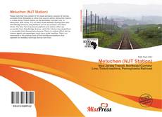Buchcover von Metuchen (NJT Station)