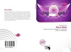 Capa do livro de Dave Sitek 