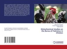 Histochemical studies on the Bursa of Fabricius in Chicken的封面
