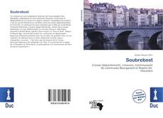 Soubrebost kitap kapağı