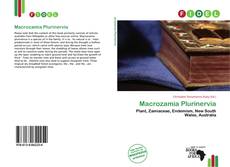 Macrozamia Plurinervia的封面