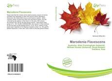 Copertina di Marsdenia Flavescens