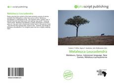 Bookcover of Melaleuca Leucadendra