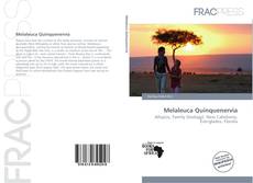 Copertina di Melaleuca Quinquenervia