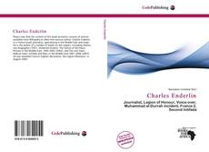 Bookcover of Charles Enderlin