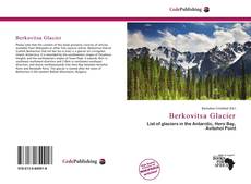 Bookcover of Berkovitsa Glacier