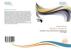 Portada del libro de Michele Amatore