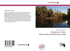 Buchcover von Hamirsar Lake