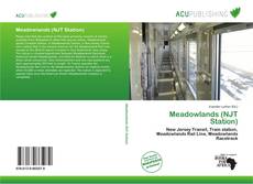 Buchcover von Meadowlands (NJT Station)