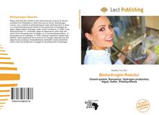 Bookcover of Biohydrogen Reactor