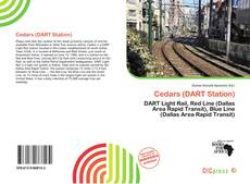 Copertina di Cedars (DART Station)