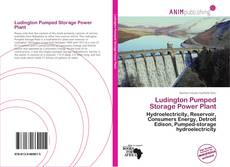 Ludington Pumped Storage Power Plant kitap kapağı