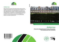 Copertina di Ambernac