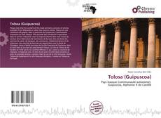 Buchcover von Tolosa (Guipuscoa)