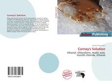 Bookcover of Carnoy's Solution