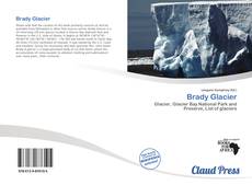 Borítókép a  Brady Glacier - hoz