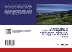 Cultural History of Mamanwas Adaptation of Community in Sitio Palayan, Barangay Caucab, Almeria Biliran的封面