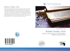Обложка Brahma Temple, Niali
